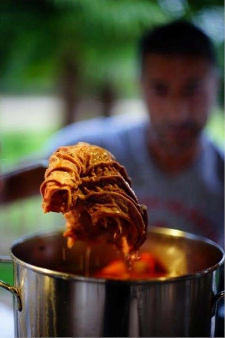 MARCO IL TRIPPAIO DI FIRENZE - Lampredotto in brodo